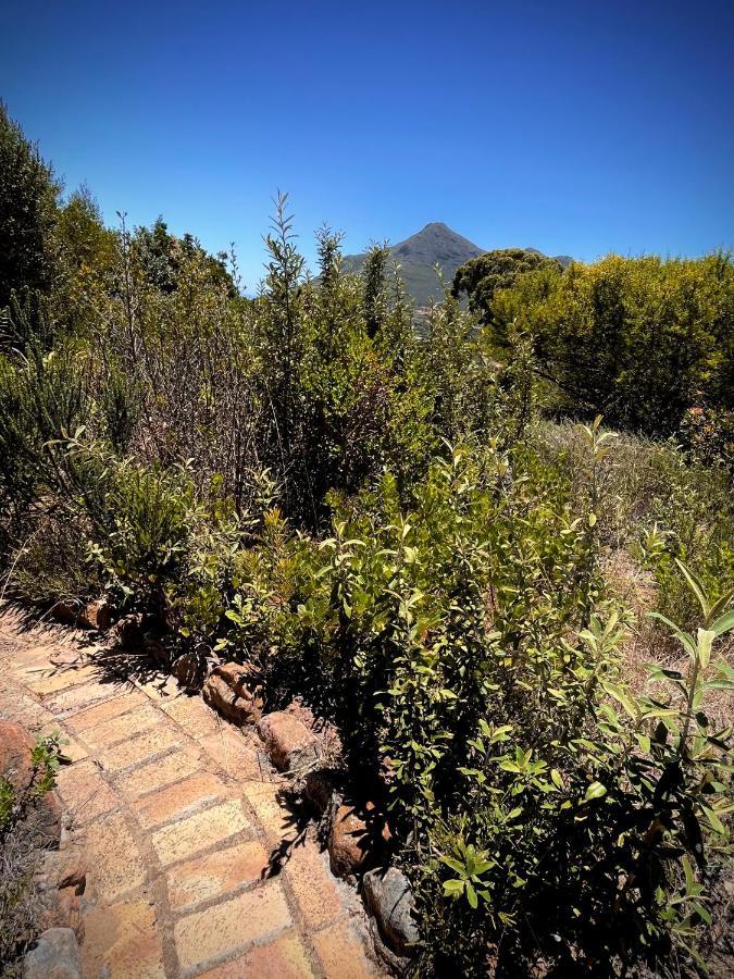 Windrose, Noordhoek, Sensationeller Meerblick Città del Capo Esterno foto