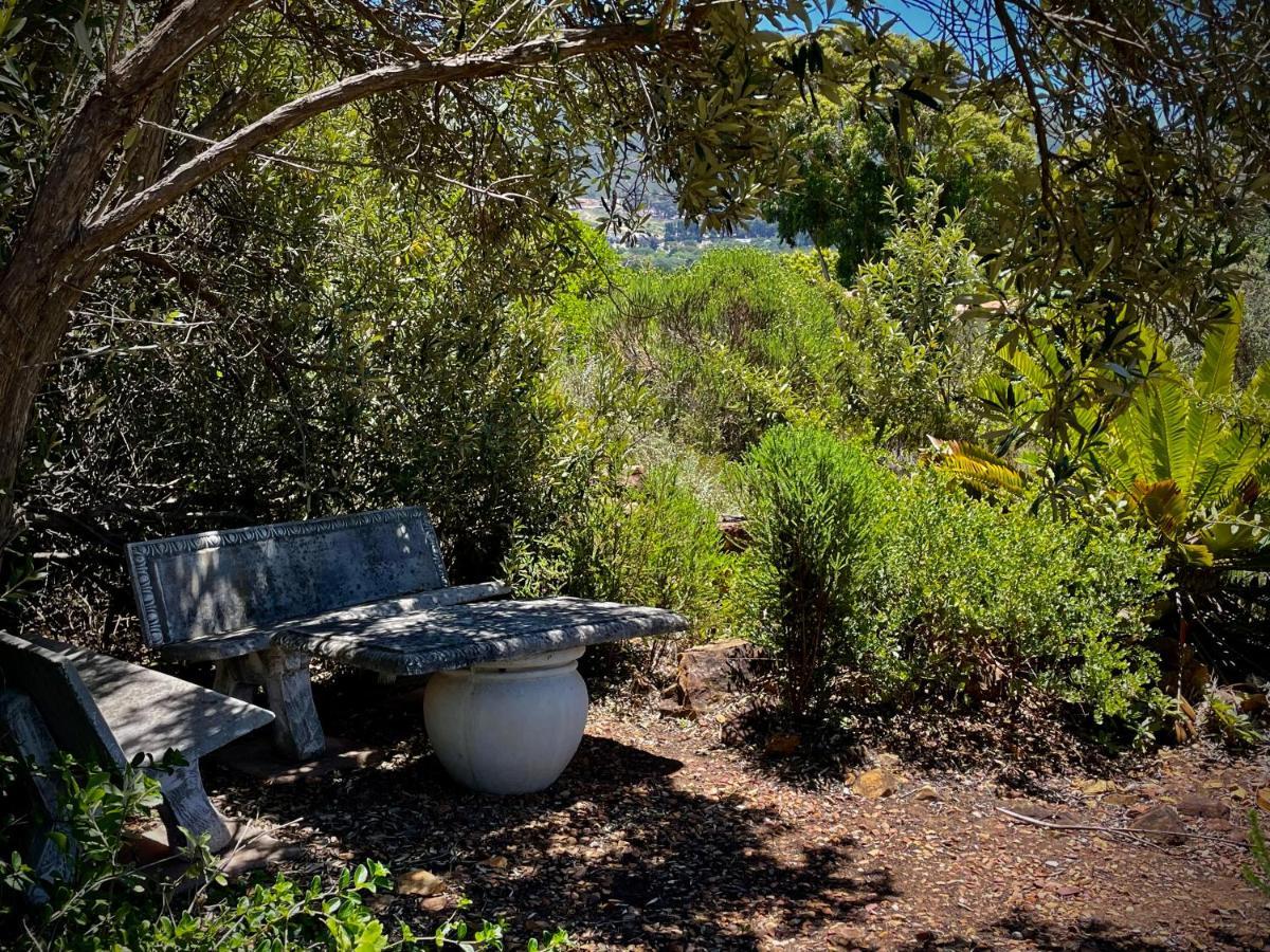 Windrose, Noordhoek, Sensationeller Meerblick Città del Capo Esterno foto