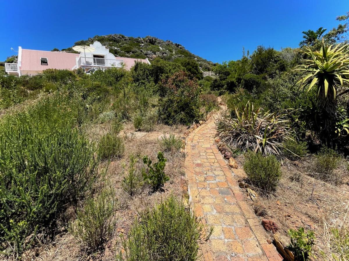 Windrose, Noordhoek, Sensationeller Meerblick Città del Capo Esterno foto
